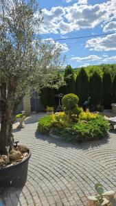 a garden with a tree and some bushes at Kristály Pihenőház in Szekszárd