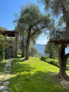un prato alberato e un edificio di Ulivi nel blu Country House With Pool 2 rooms a Rapallo