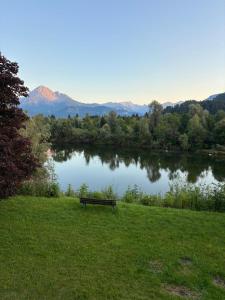 a bench sitting in the grass next to a lake at Christoph's mountain and lake view in Pflach +2 photos