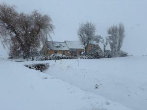 a snow covered yard with a house and trees at De Danser 2 in Klaaswaal