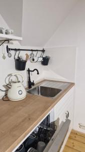 a kitchen counter with a sink and a stove at Apartmány Saxana in Smržovka +22 photos
