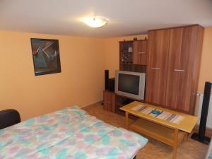 エゲルサロークにあるSzonja Apartmanのベッドルーム(ベッド1台、テレビ、テーブル付)