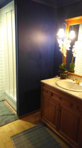 a bathroom with a sink and a mirror at the hobbit house in Antwerp