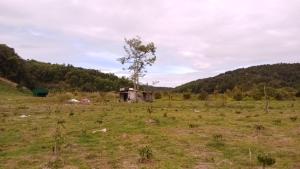 an old house in a field with a tree at Ditrek Adventure in Ðại Lào