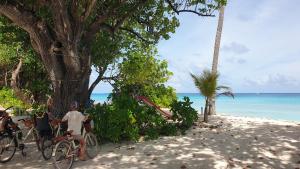 a man sitting on a bike next to a tree on the beach at Dhigurah Holidays in Dhigurah