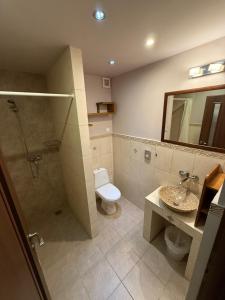 a bathroom with a toilet and a shower and a sink at K&I Panzió in Comolău +2 photos