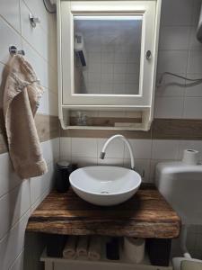 a bathroom with a white sink and a mirror at Studio apartman Tara in Kutina