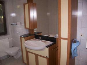 a bathroom with a sink and a toilet at Haus 55 Fewo EG in Arrach