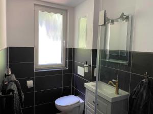 a bathroom with a toilet and a sink and a window at Kleiner Sommerweg Bungalow in Diedrichshagen