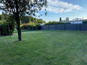a yard with a fence and a tree at Kleiner Sommerweg Bungalow in Diedrichshagen