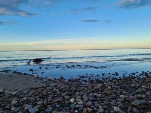 a beach with a bunch of rocks and the ocean at Kleiner Sommerweg Bungalow in Diedrichshagen