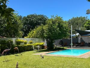 a group of birds standing in the grass near a swimming pool at Aflica Apartments in Gaborone