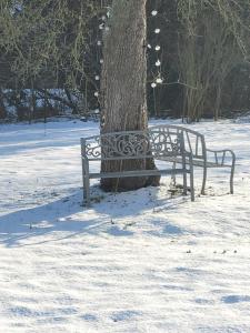 two benches sitting next to a tree in the snow at Bobrowe zacisze in Wleń