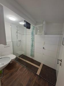 a bathroom with a shower and a toilet and a sink at Apartment in Freimersheim +31 photos