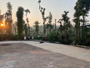 an empty parking lot with palm trees in the background at Coffee Mist Retreat in Hanbalu