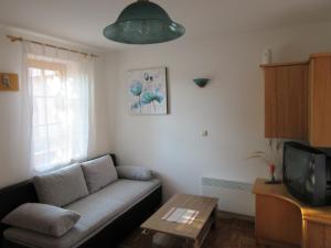 - un salon avec un canapé et une télévision dans l'établissement Apartment Klas, à Moravske Toplice