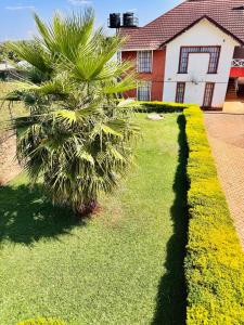 a palm tree in front of a house at Bleu Haven in Kitale