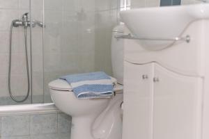 a bathroom with a white toilet and a shower at Folia in Agia Marina