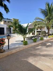 a street with benches and palm trees in front of a building at Chez Andre in Ngaparou
