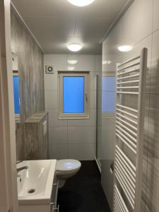 a bathroom with a sink and a toilet and a window at Luxe Chalet Inn Otterlo op de Veluwe aan het Water! in Otterlo