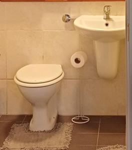 a bathroom with a toilet and a sink at Bibi Cosy Cottage in Moshi +5 photos