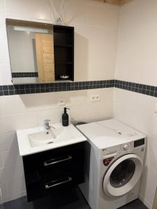 a bathroom with a washing machine and a sink at Little Chalet Piguet in Gryon +34 photos