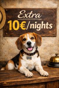 Husdjur som bor med gäster på Le Mont Rigi +155 foton