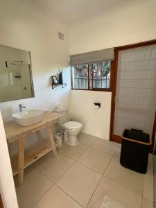 a bathroom with a sink and a toilet and a mirror at Ndlovu Addo River Lodge in Kirkwood +34 photos