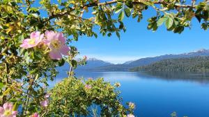 a view of a lake from a tree with pink flowers at Cabañas Betsaida in Lago Meliquina