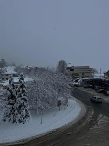a snow covered street with trees and a parking lot at Stan na dan Žabac in Vlasenica