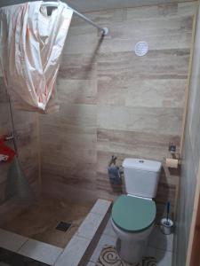 a bathroom with a blue toilet and a shower at Casa Denis rustic in Turda