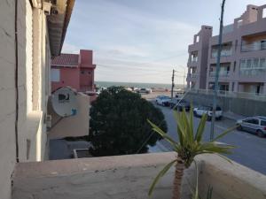 a palm tree sitting on the ledge of a balcony at Caleta Austral - dptos in Las Grutas