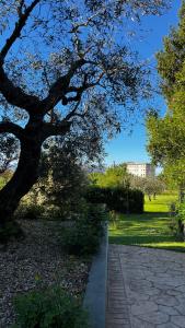 a park with a tree and a sidewalk at B&B Casa Doria in Valmontone