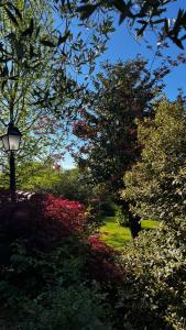 a park with colorful trees and a street light at B&B Casa Doria in Valmontone