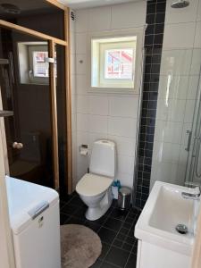 a bathroom with a toilet and a sink at Fjällstuga Vemdalsskalet in Vemdalen
