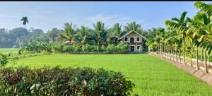 a house in the middle of a green field at Pilgrims Nature Villa in Ahangama