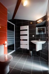 a bathroom with a sink and a toilet at Les Granges de Leo in Aston