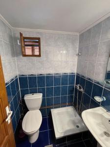a blue tiled bathroom with a toilet and a sink at Pensiunea Padina in Bran +26 photos