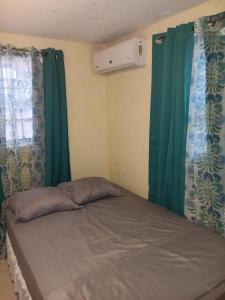 a bed in a room with green curtains at Harmony Guest House in Bridgetown