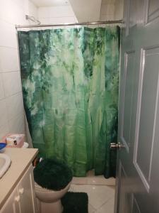 a green shower curtain in a bathroom with a toilet at Harmony Guest House in Bridgetown