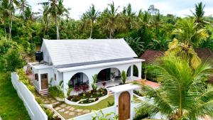 an aerial view of a house with palm trees at Casa De Made - Villas in Jembrana +18 photos