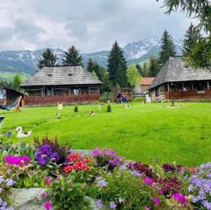a green field with flowers in front of a house at Căsuța Floarea Reginei in Borşa