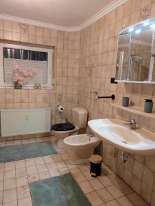 a bathroom with a sink and a toilet at Apartment Kadenbach in Kadenbach
