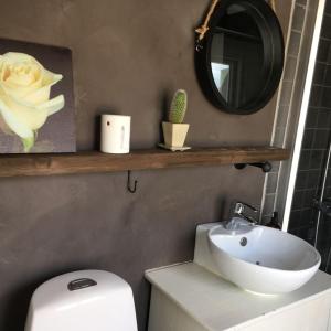 a bathroom with a sink and a toilet and a mirror at Stugan på Skårby in Ystad