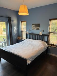 ein Bett in einem Schlafzimmer mit einer blauen Wand in der Unterkunft Green Door Country Home Ein Zivan in Ein Zivan