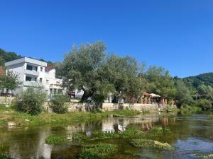 a view of a river with houses and a tree at Aqua Rooms Ribnik in Gornji Ribnik