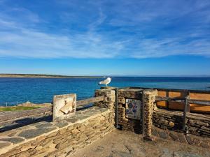 a seagull sitting on a fence near the ocean at Residenza Ponente in Stintino
