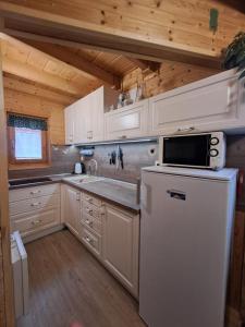 a kitchen with a white refrigerator and a microwave at Chaty Hrubý in Dolní Moravice +18 photos