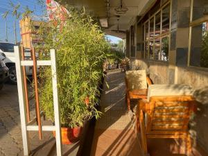 a patio with a table and chairs and a plant at Clavina Hotel in Gilgil