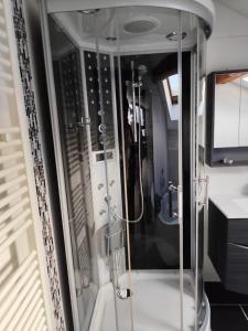 a glass shower in a bathroom with a sink at Boxenstop in Kleinlobming